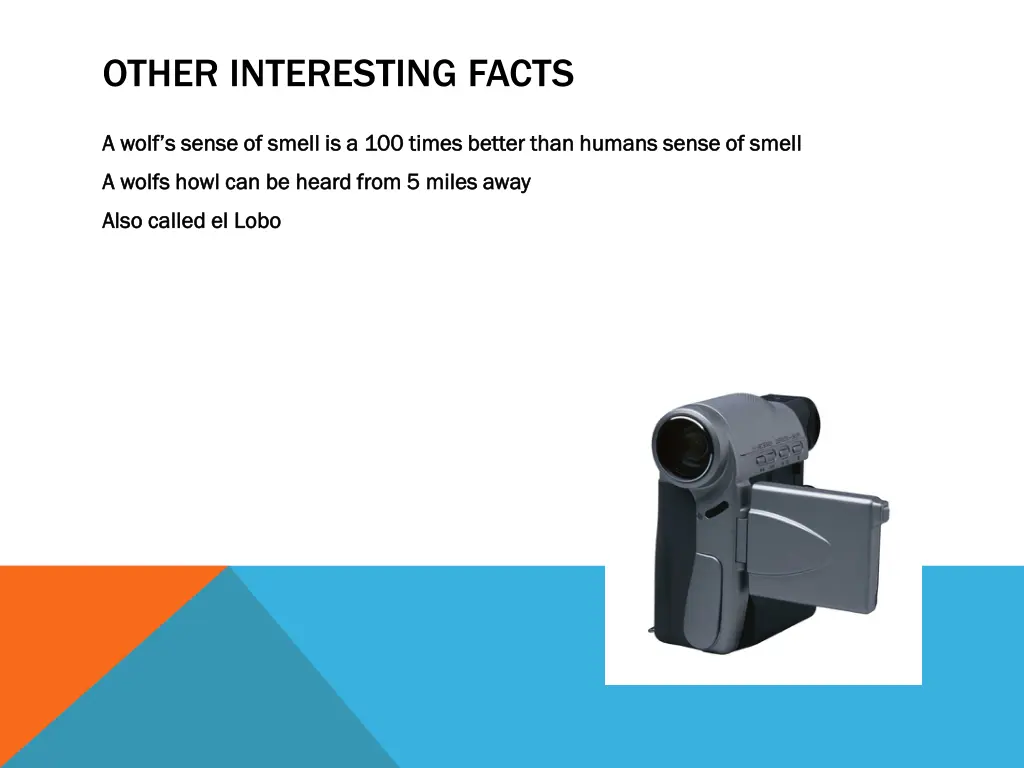other interesting facts