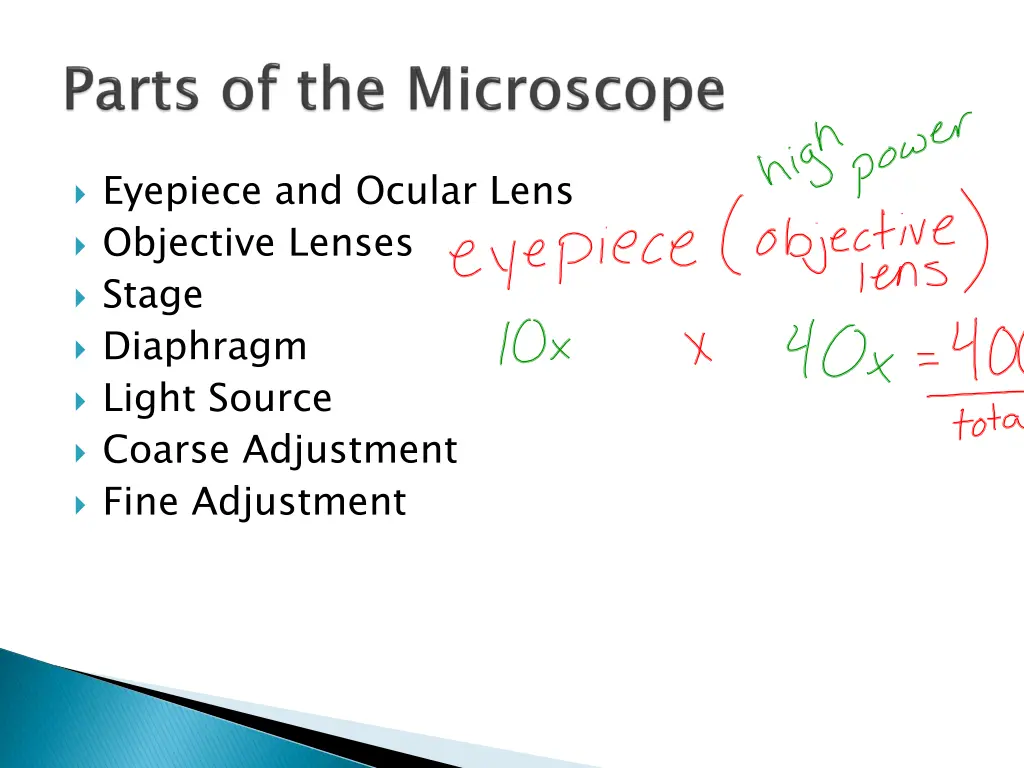 eyepiece and ocular lens objective lenses stage