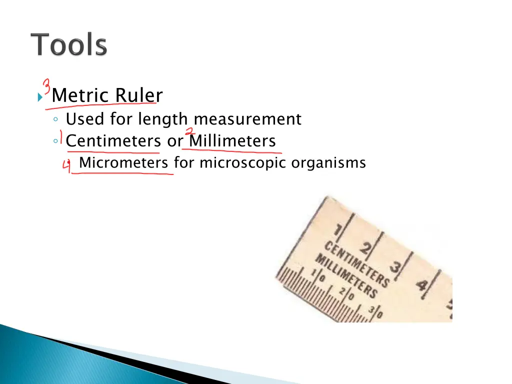 metric ruler used for length measurement