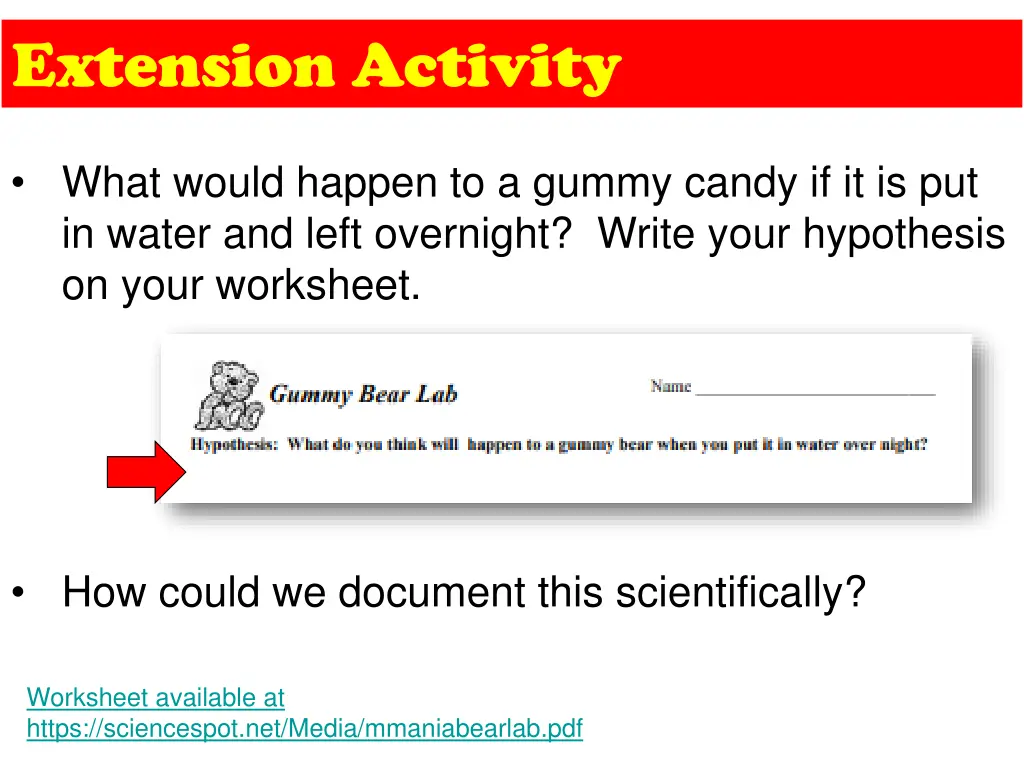 extension activity