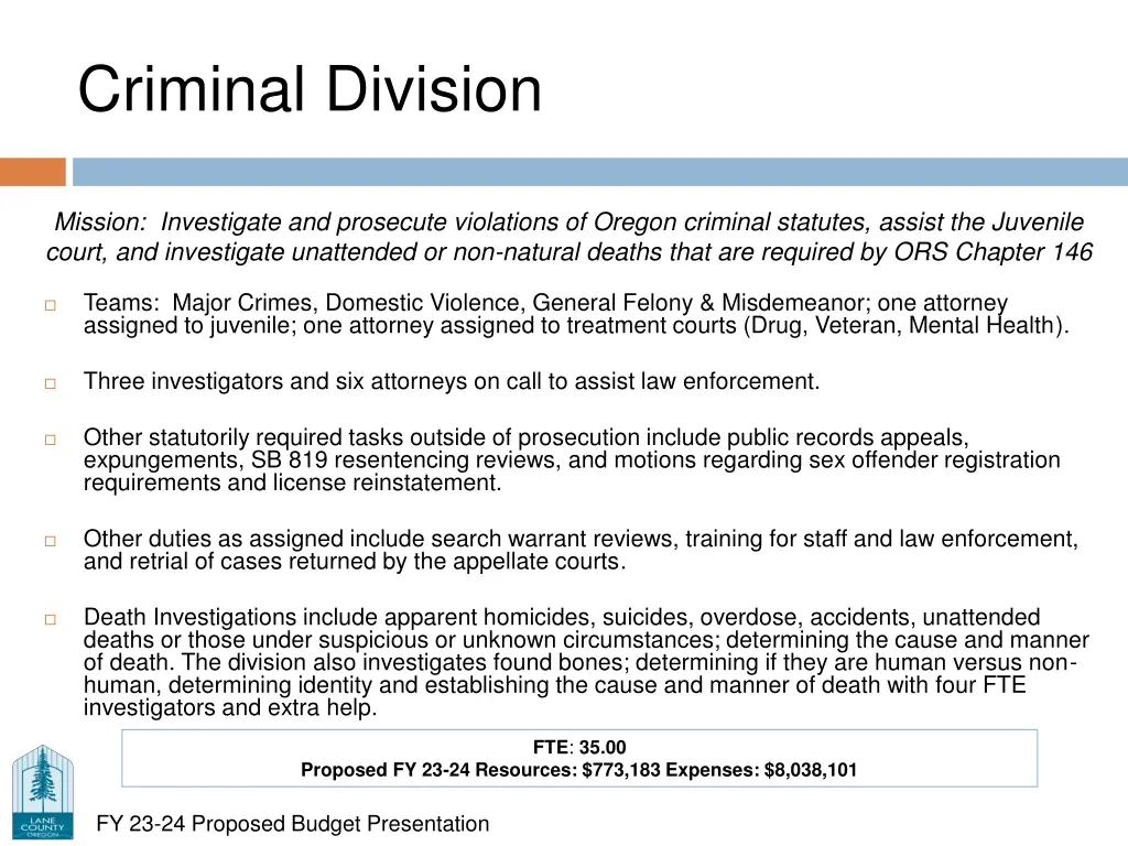 criminal division