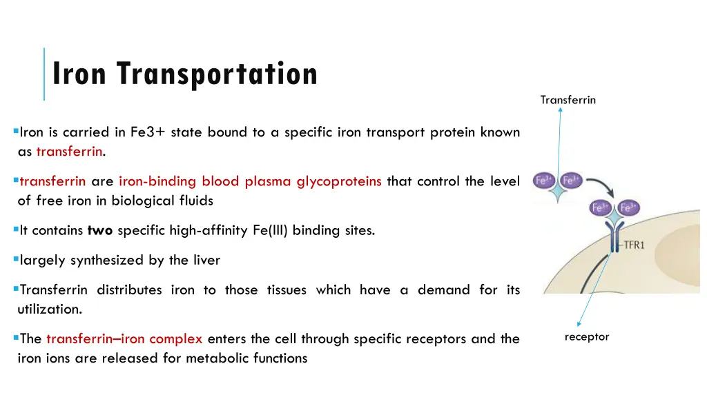 iron transportation