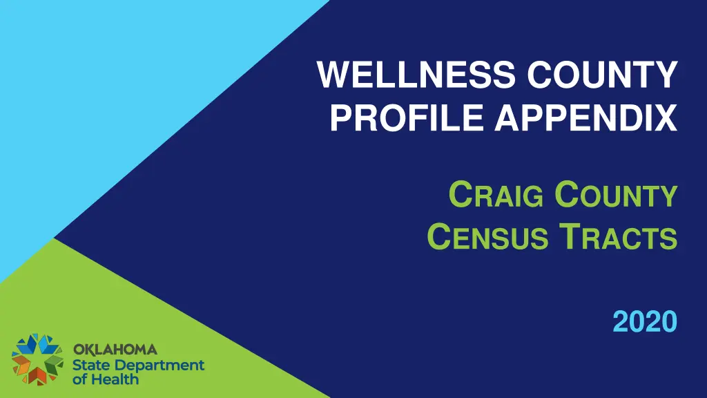 wellness county profile appendix