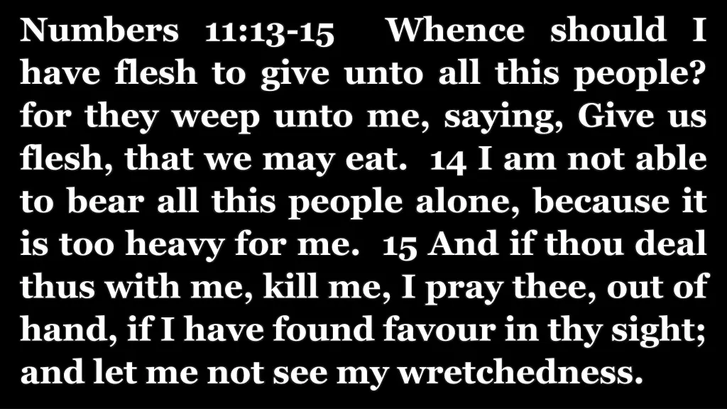 numbers 11 13 15 whence should i have flesh