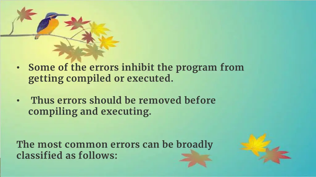 some of the errors inhibit the program from