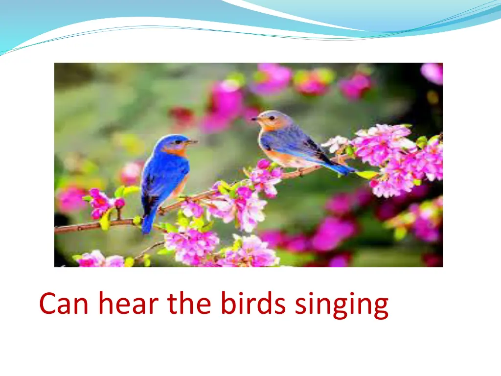 can hear the birds singing