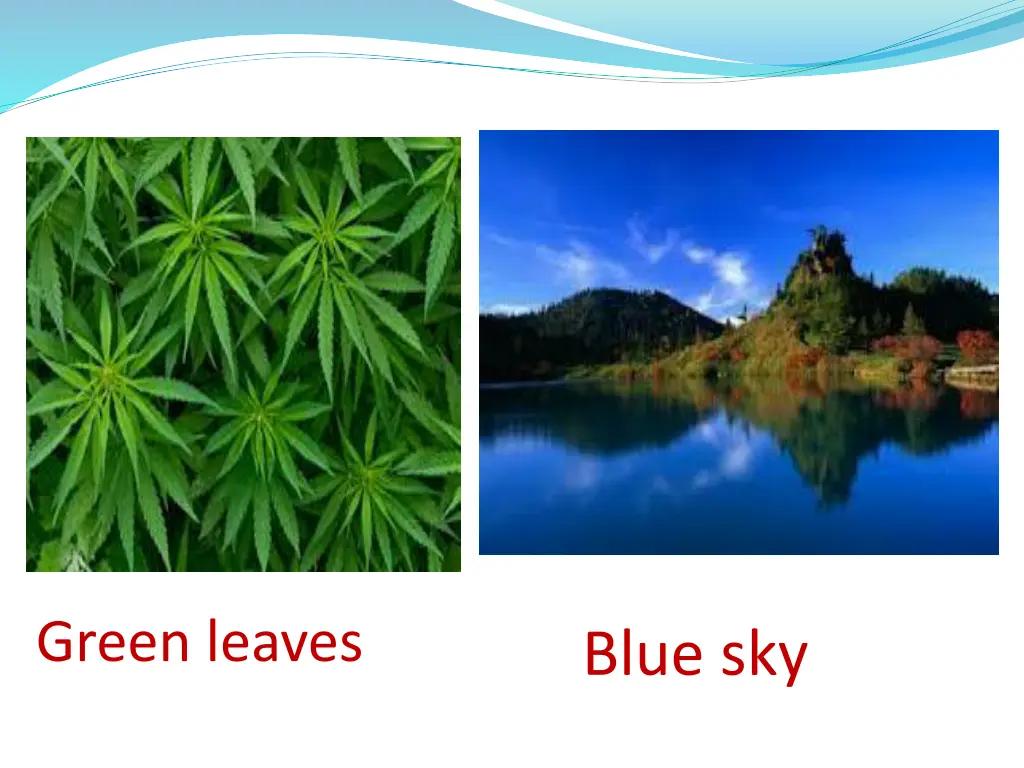 green leaves