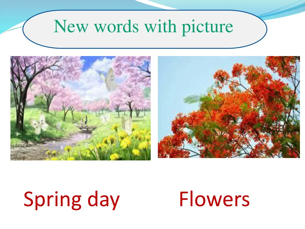 new words with picture