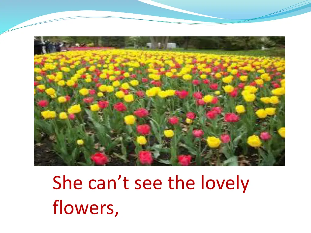 she can t see the lovely flowers
