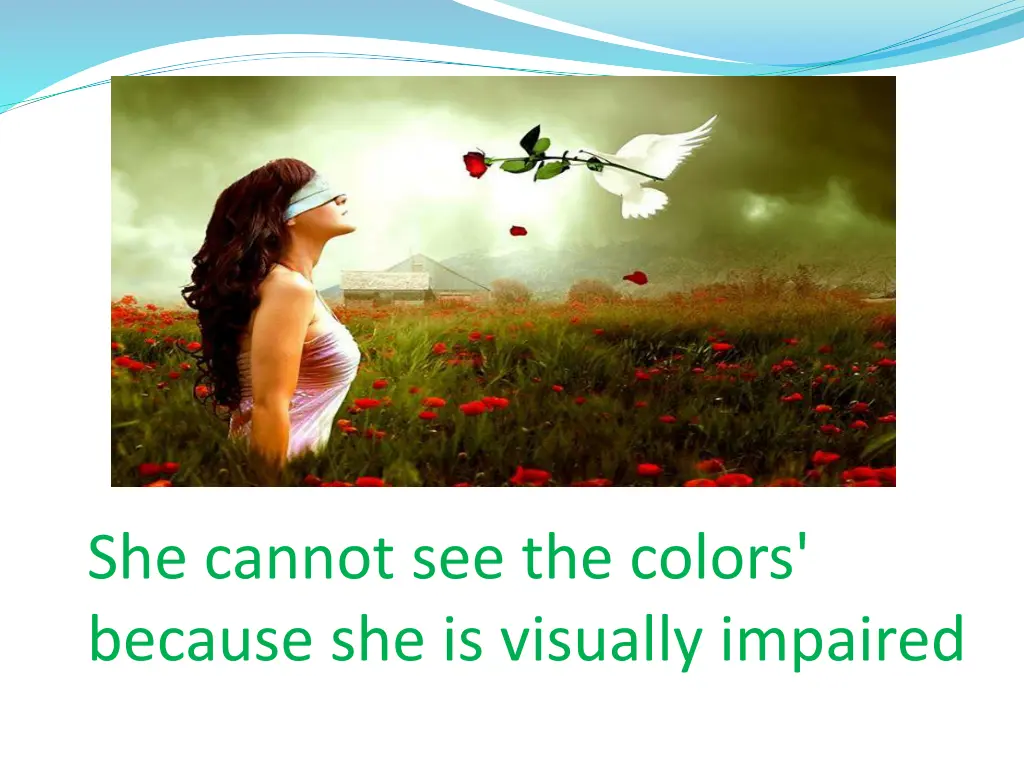 she cannot see the colors because she is visually