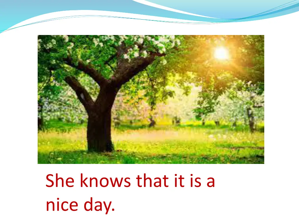 she knows that it is a nice day
