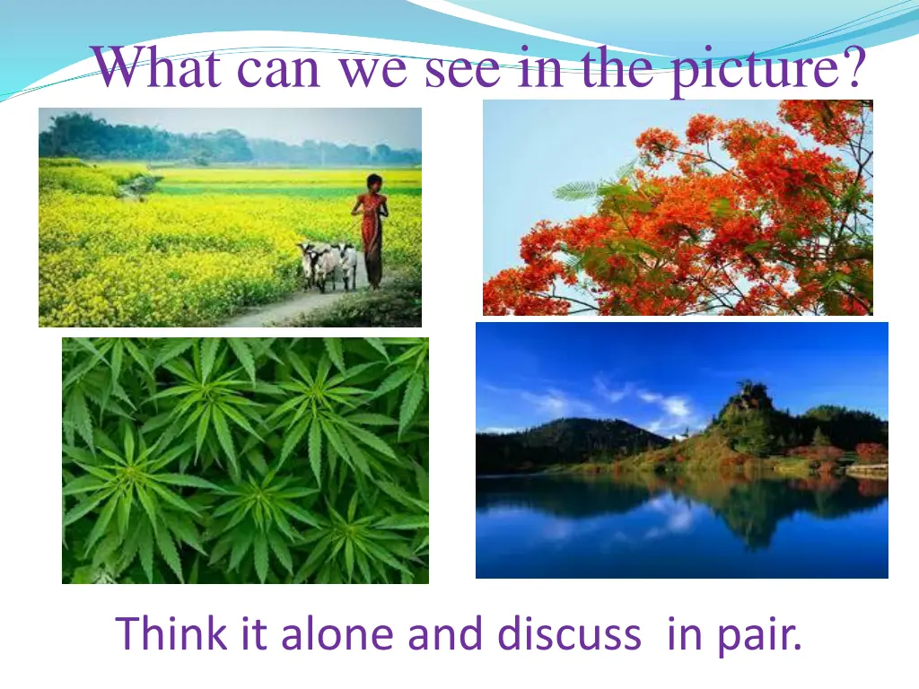 what can we see in the picture