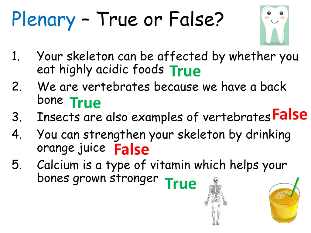 plenary true or false