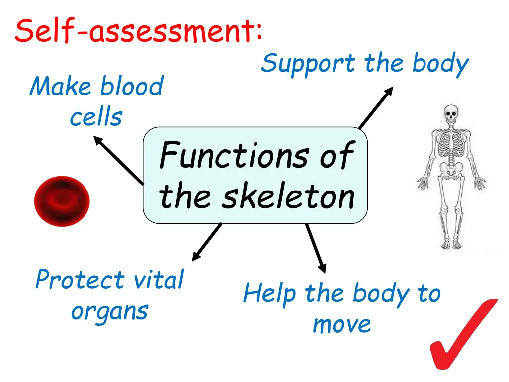 self assessment