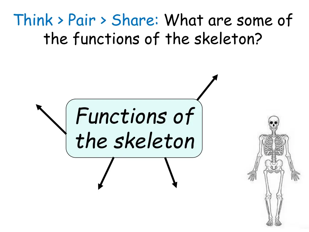 think pair share what are some of the functions