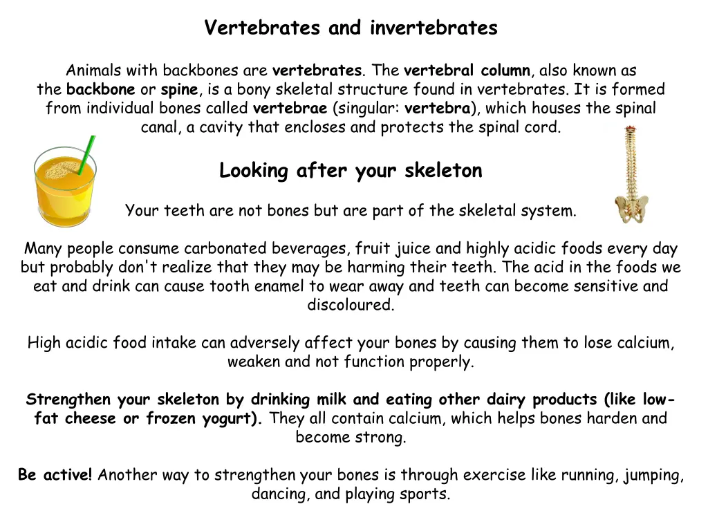 vertebrates and invertebrates 1