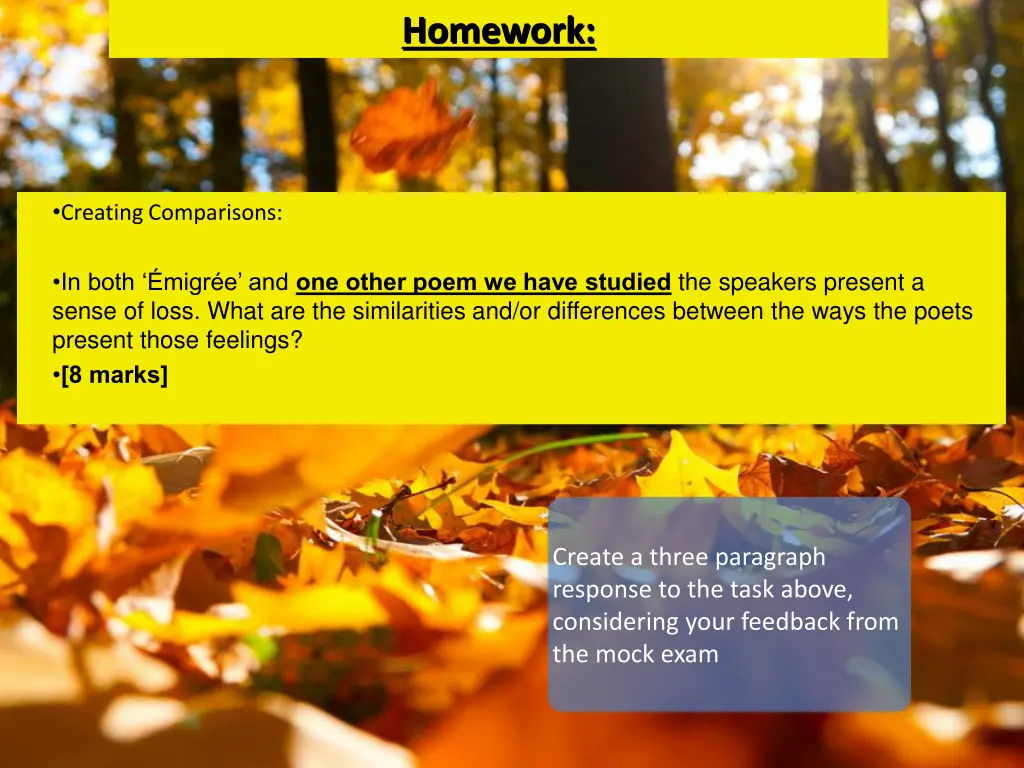 homework