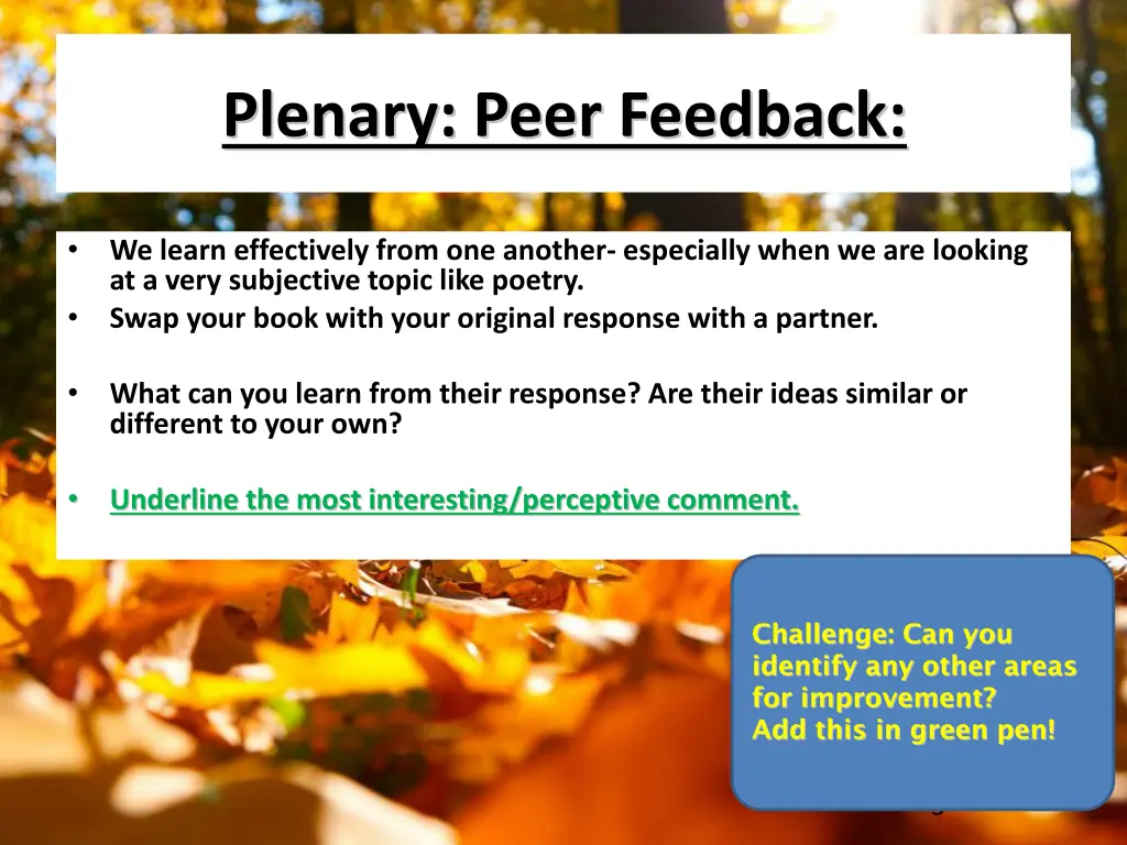 plenary peer feedback