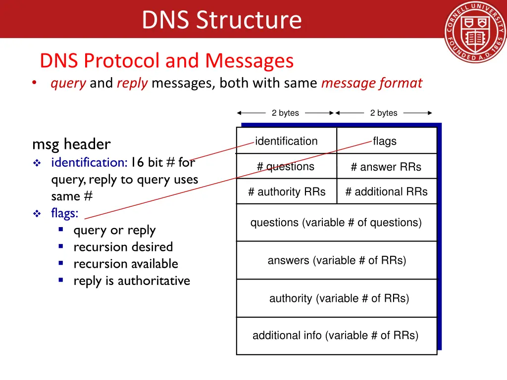 dns structure 7