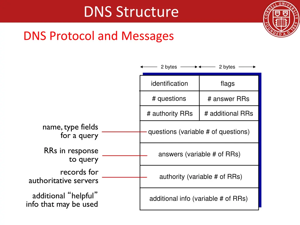 dns structure 8