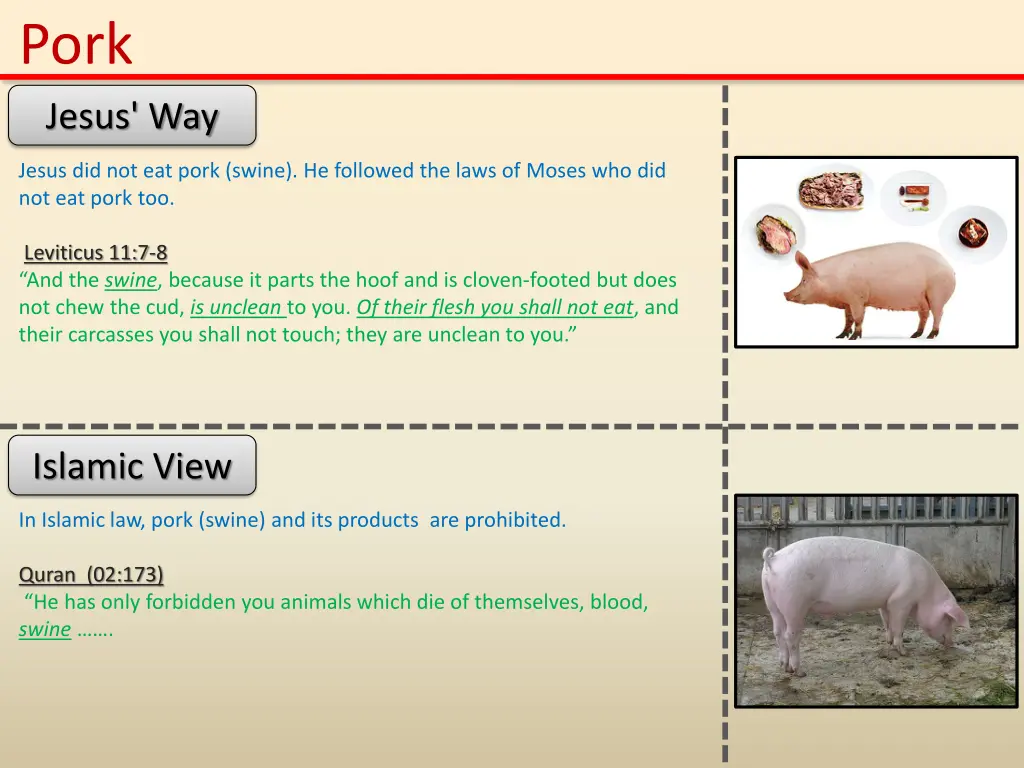 slide11