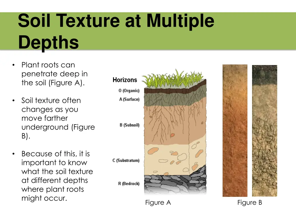 soil texture at multiple depths
