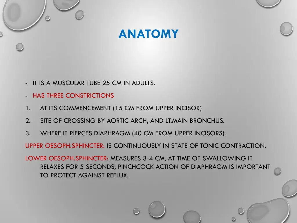 anatomy