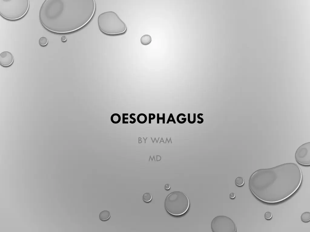 oesophagus