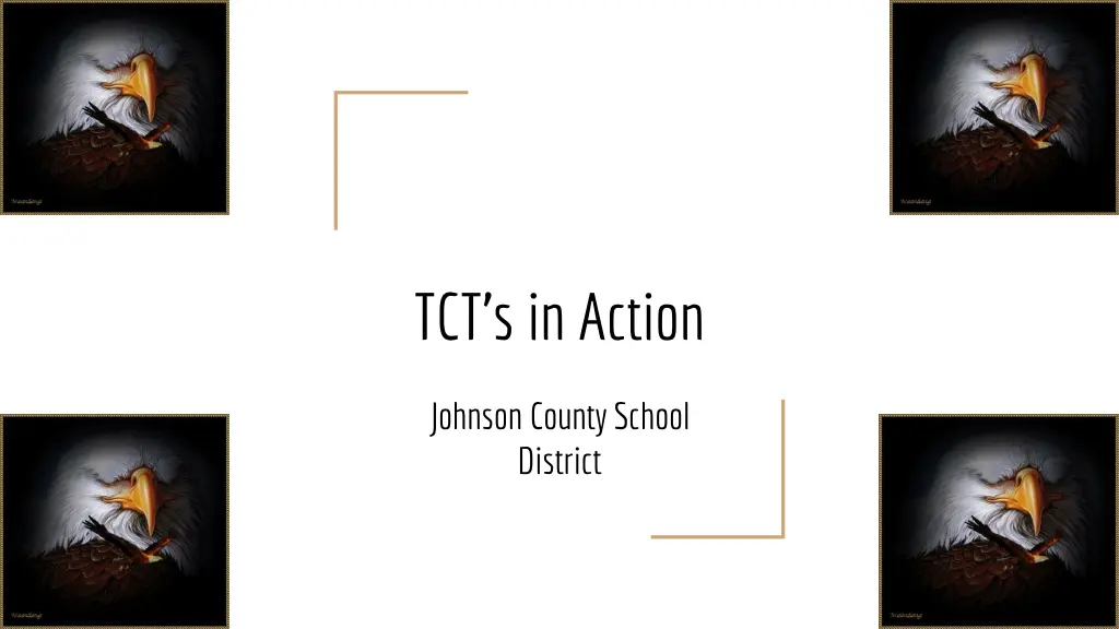 tct s in action