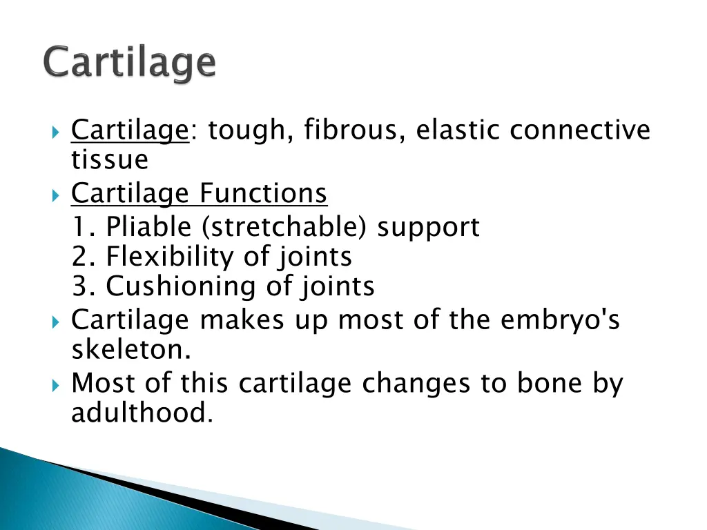 cartilage tough fibrous elastic connective tissue