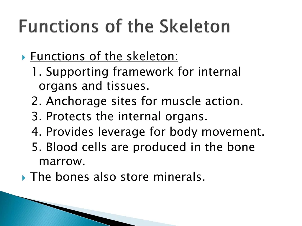 functions of the skeleton 1 supporting framework