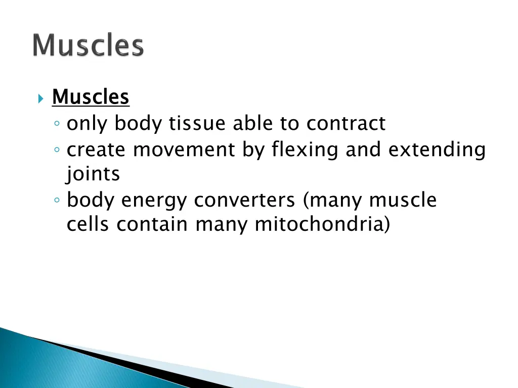 muscles only body tissue able to contract create