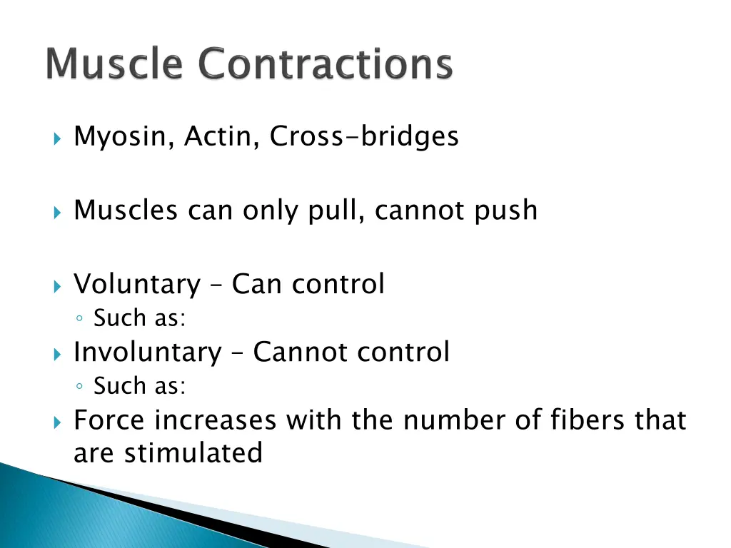 myosin actin cross bridges