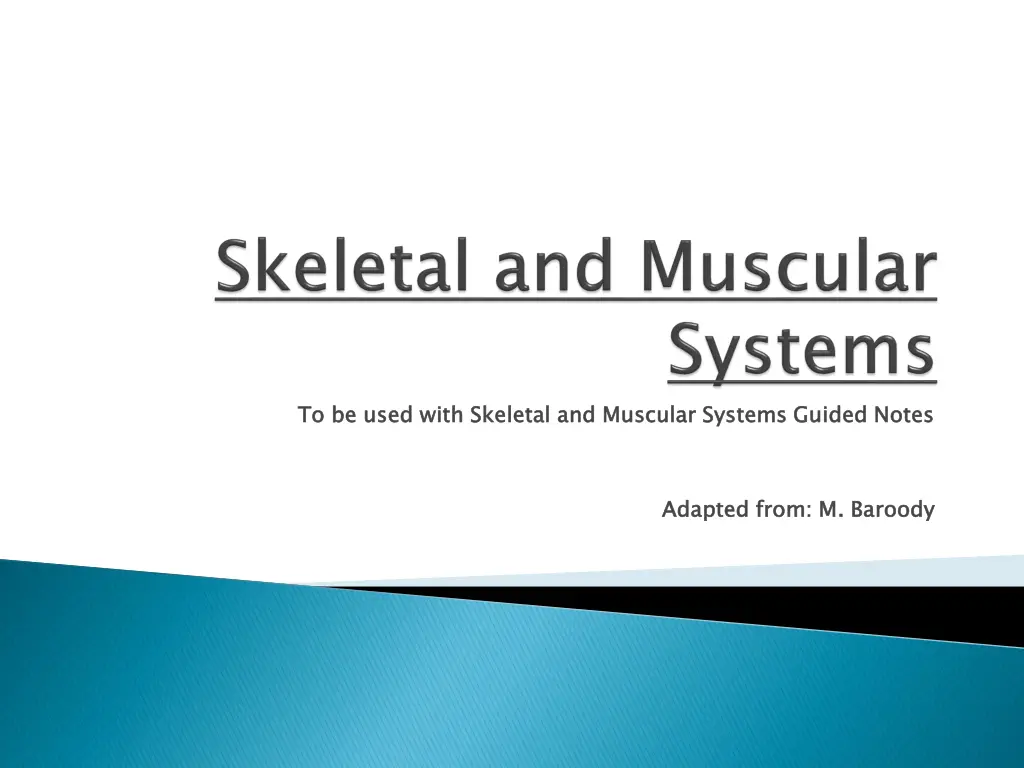 to be used with skeletal and muscular systems