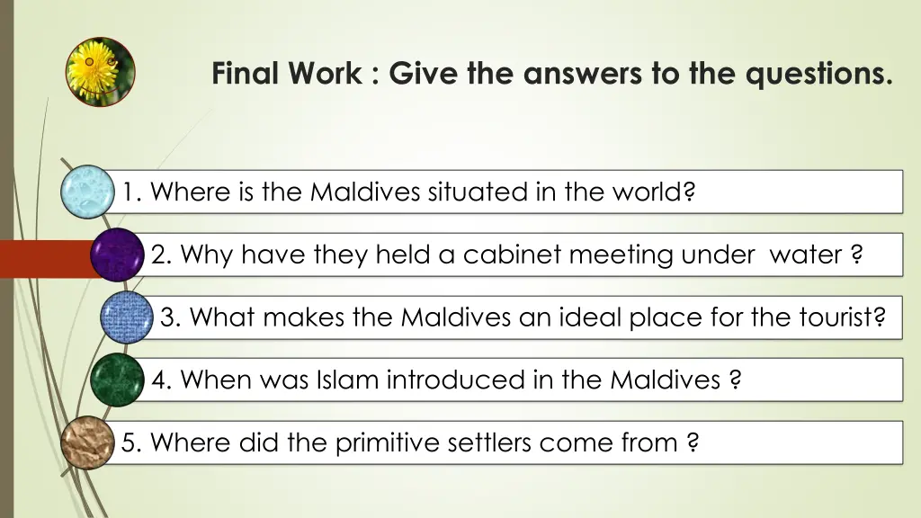 final work give the answers to the questions
