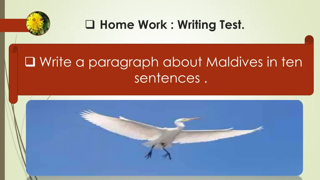 home work writing test