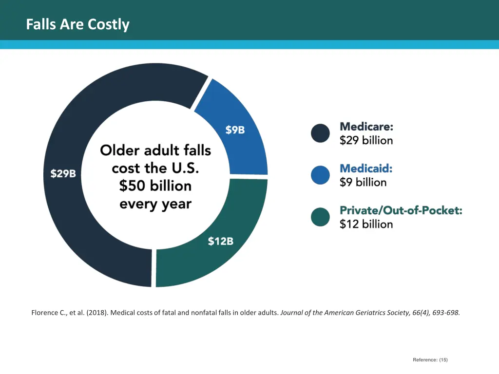falls are costly 1
