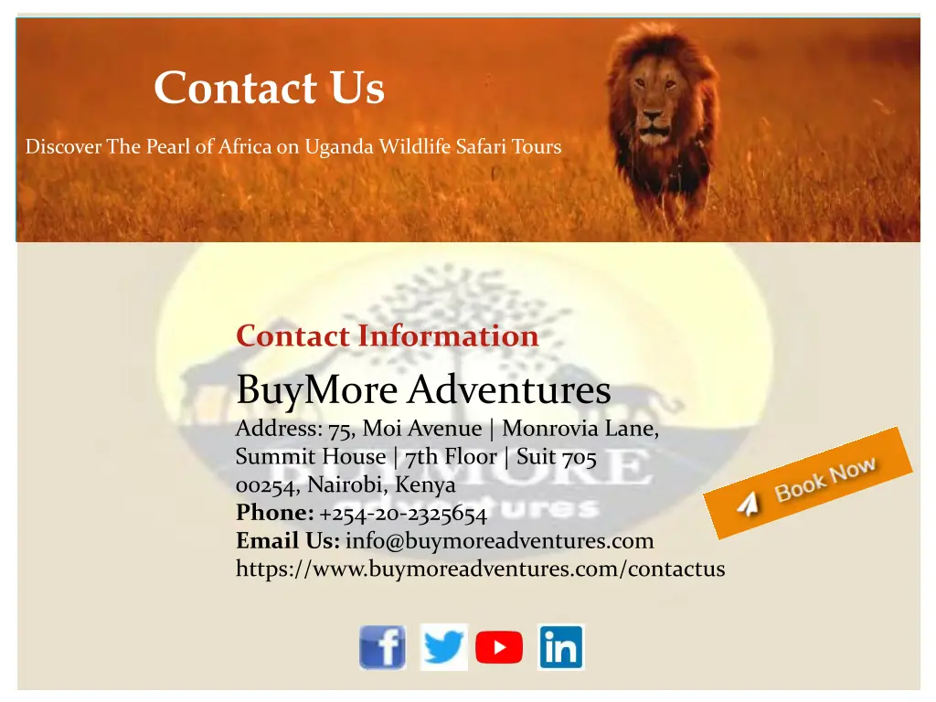 contact us