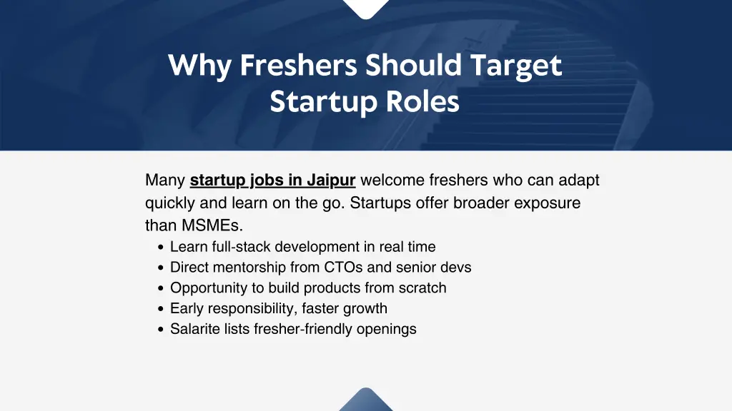 why freshers should target startup roles