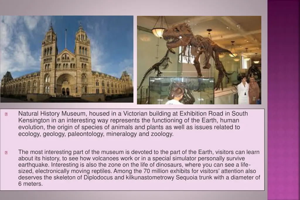 natural history museum housed in a victorian