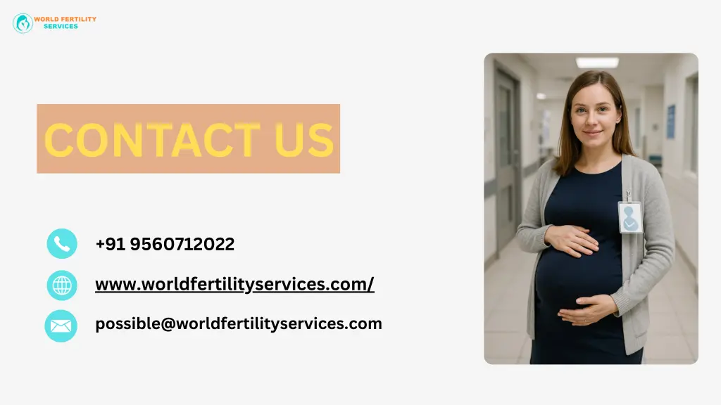 contact us