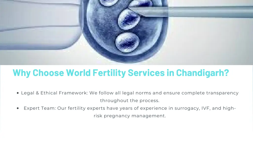 why choose world fertility services in chandigarh