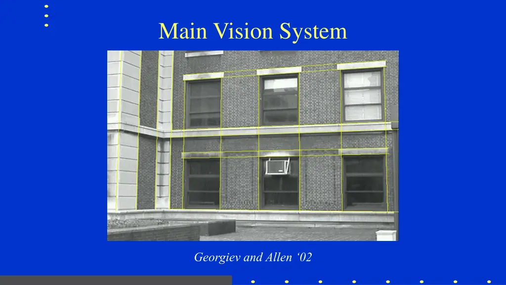 main vision system