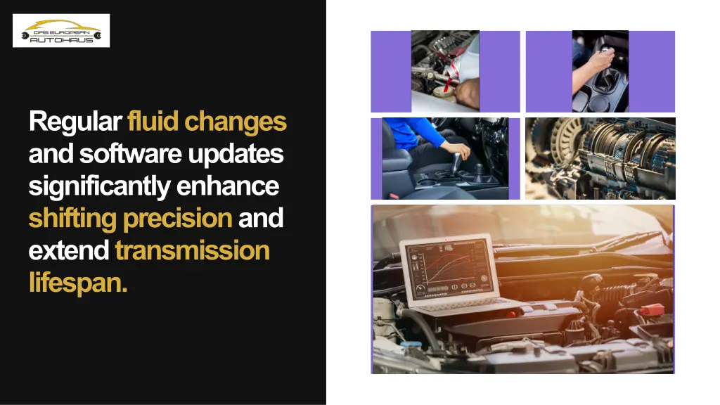 regular fluid changes and software updates