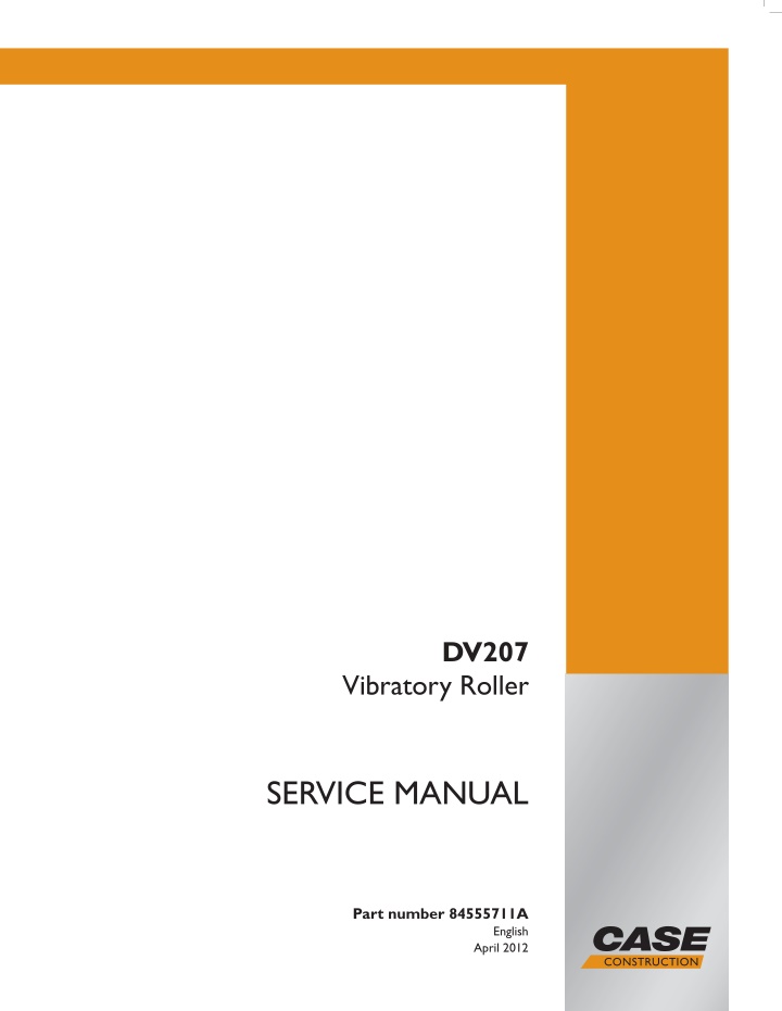 dv207