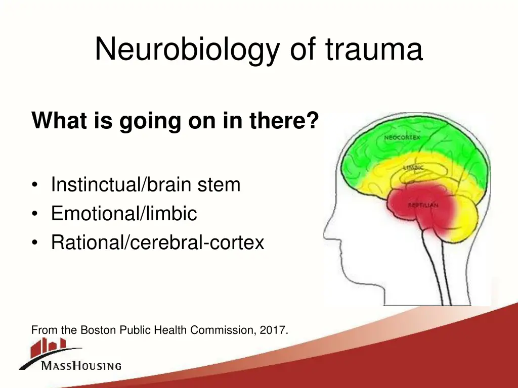 neurobiology of trauma