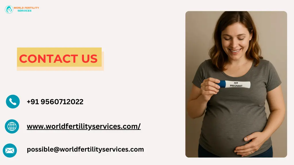 contact us