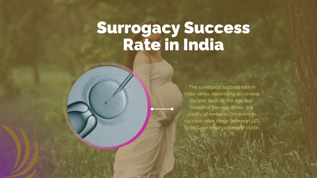 surrogacy success rate in india