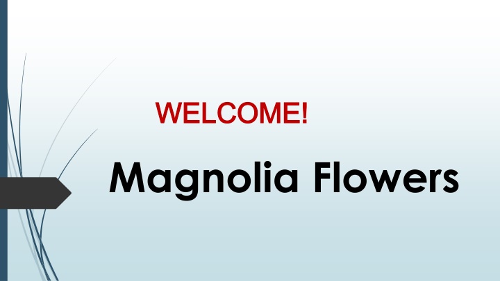 welcome welcome magnolia flowers