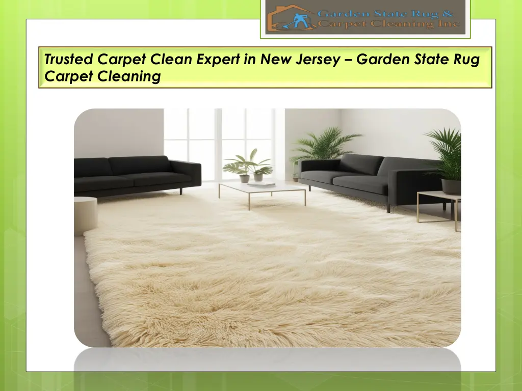 trusted carpet clean expert in new jersey garden 2